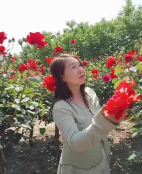 泄火老娘们